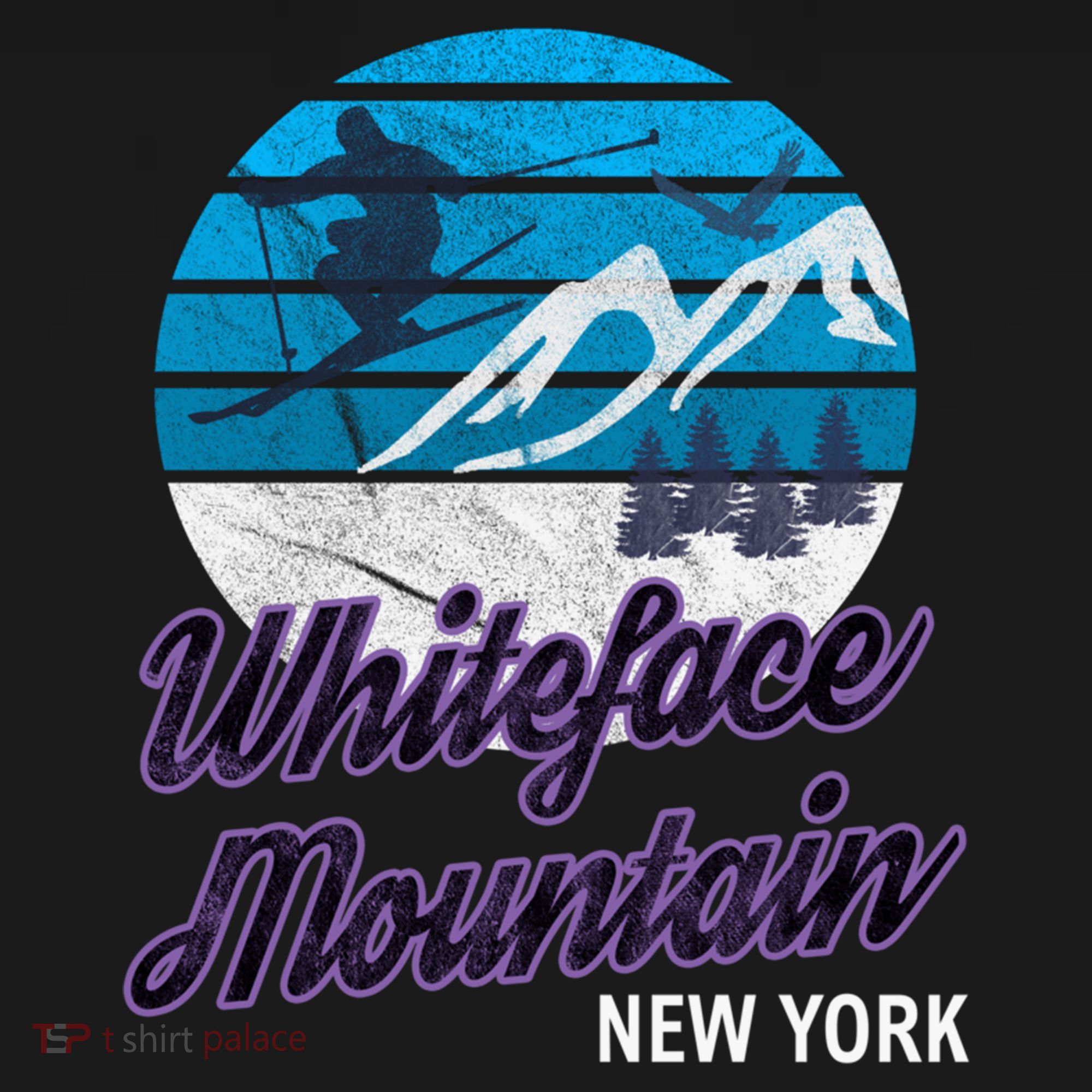 Whiteface Mountain Wilmington Ny Usa Skiing Snowboarding Gift Women's Hoodie