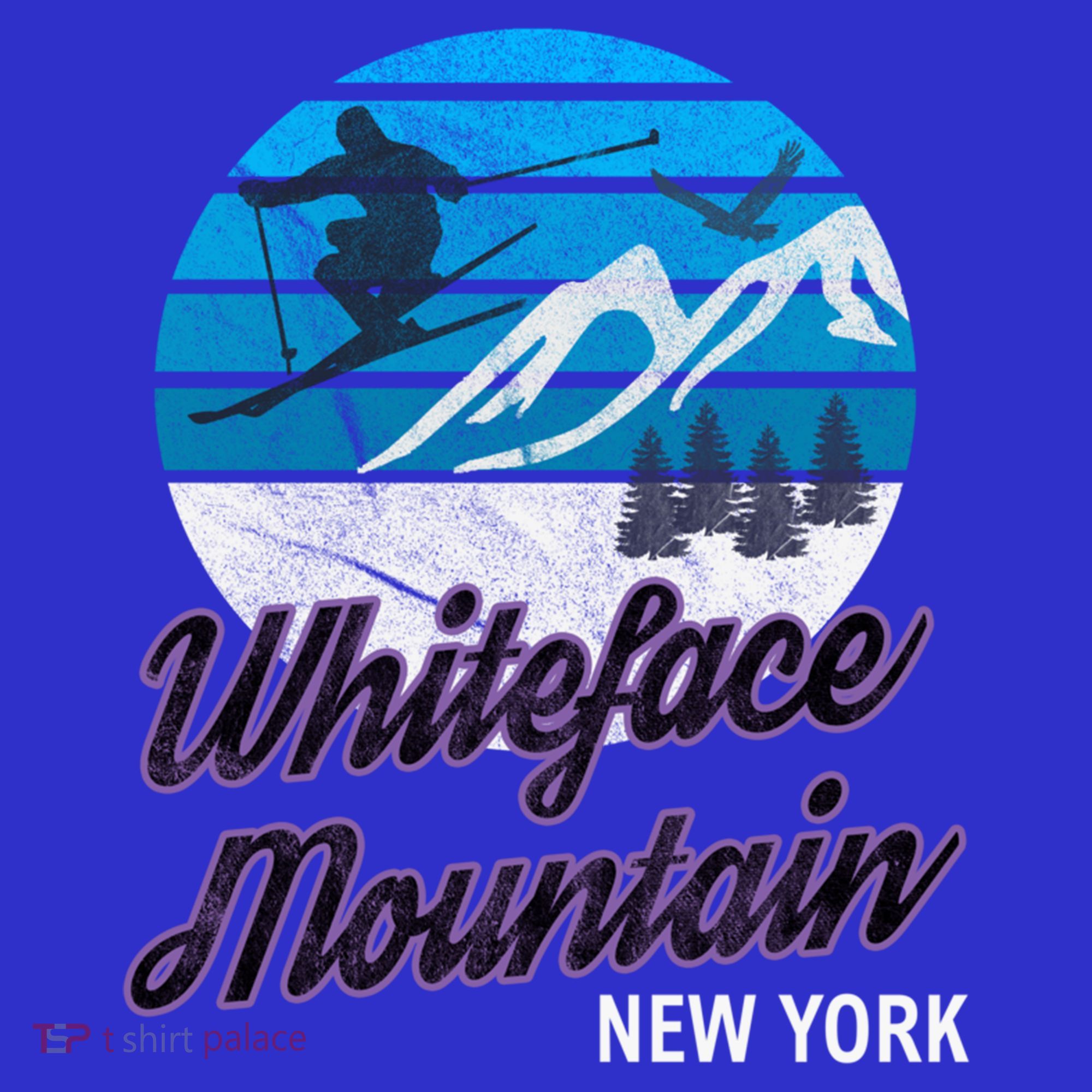 Whiteface Mountain Wilmington Ny Usa Skiing Snowboarding Gift T-Shirt