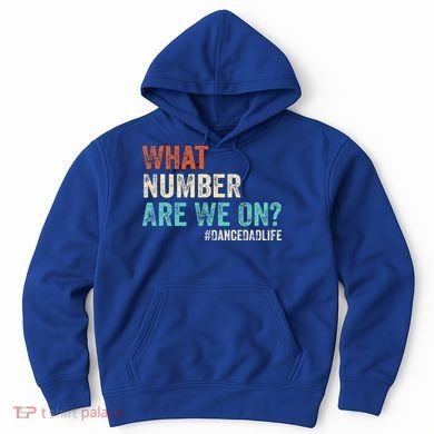 What Number Are We On Dance Dad Life Hoodie