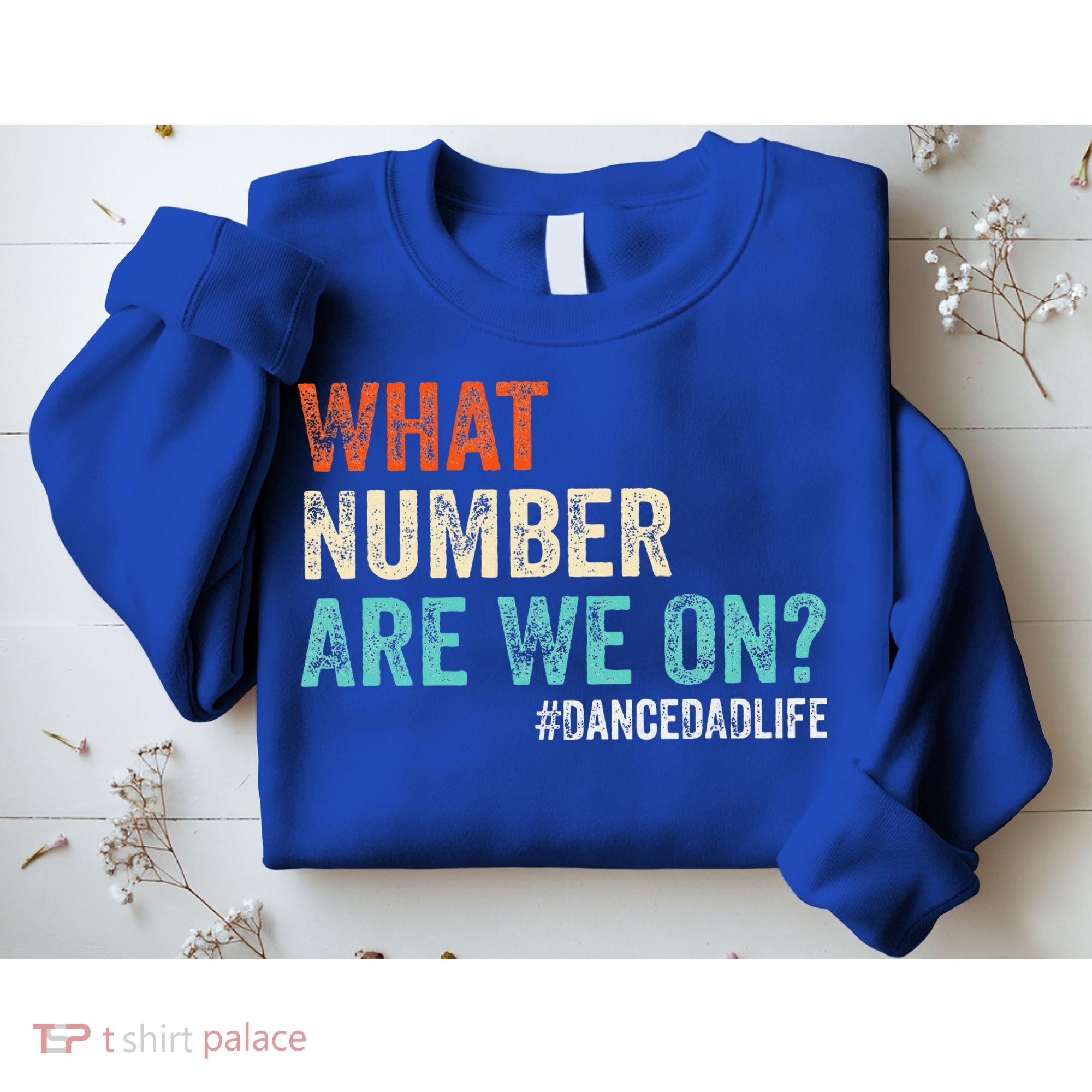 What Number Are We On Dance Dad Life Sweatshirt