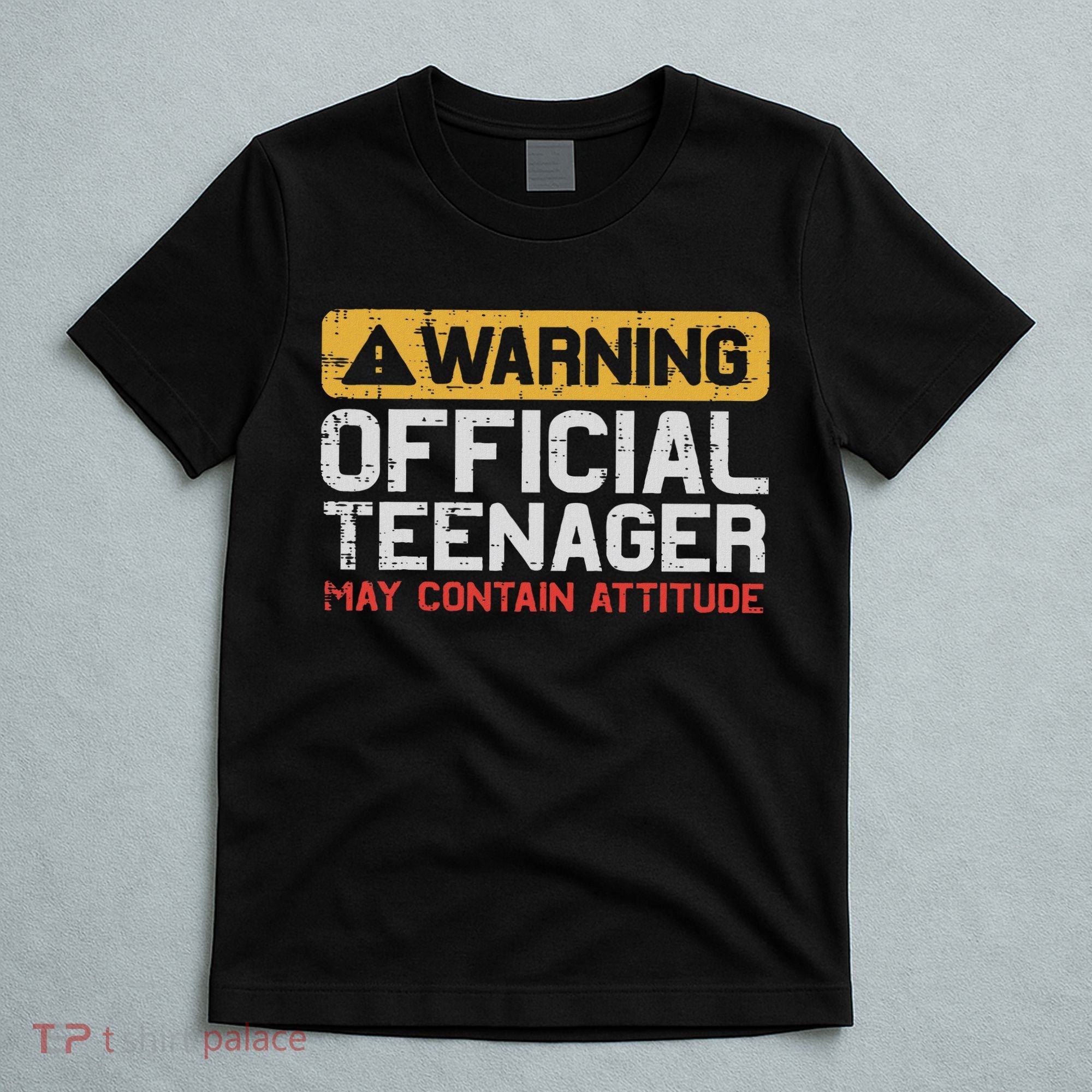 Warning Nager Attitude 13th Birthday T-Shirt