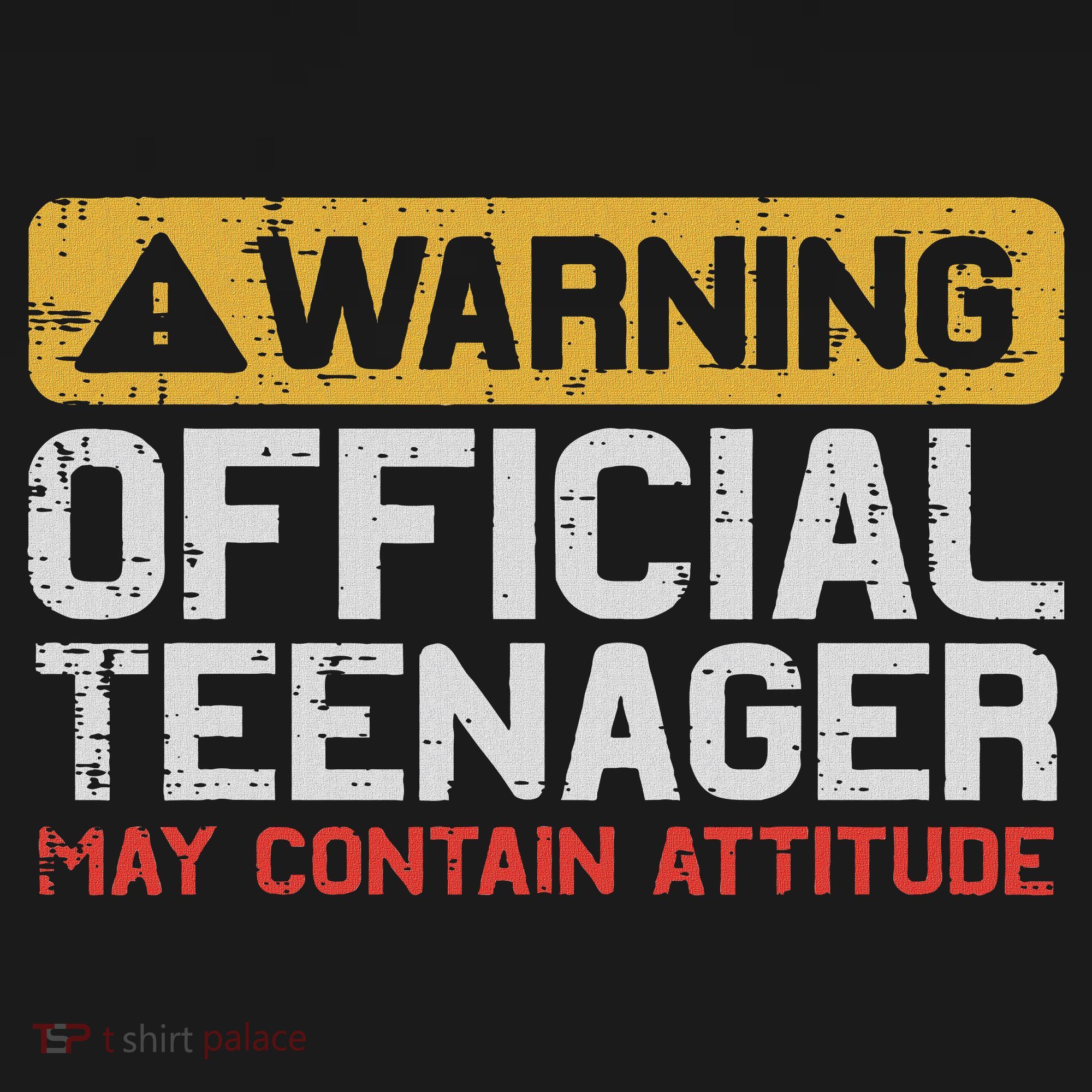 Warning Nager Attitude 13th Birthday T-Shirt