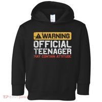 Warning Nager Attitude 13th Birthday Toddler Hoodie thumb 0