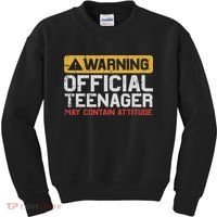 Warning Nager Attitude 13th Birthday Kids Sweatshirt thumb 0