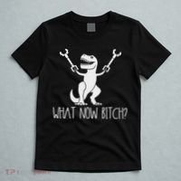 What Now Bitch Funny T Rex Dinosaur T-Shirt thumb 5