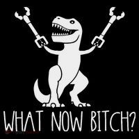 What Now Bitch Funny T Rex Dinosaur Button thumb 1