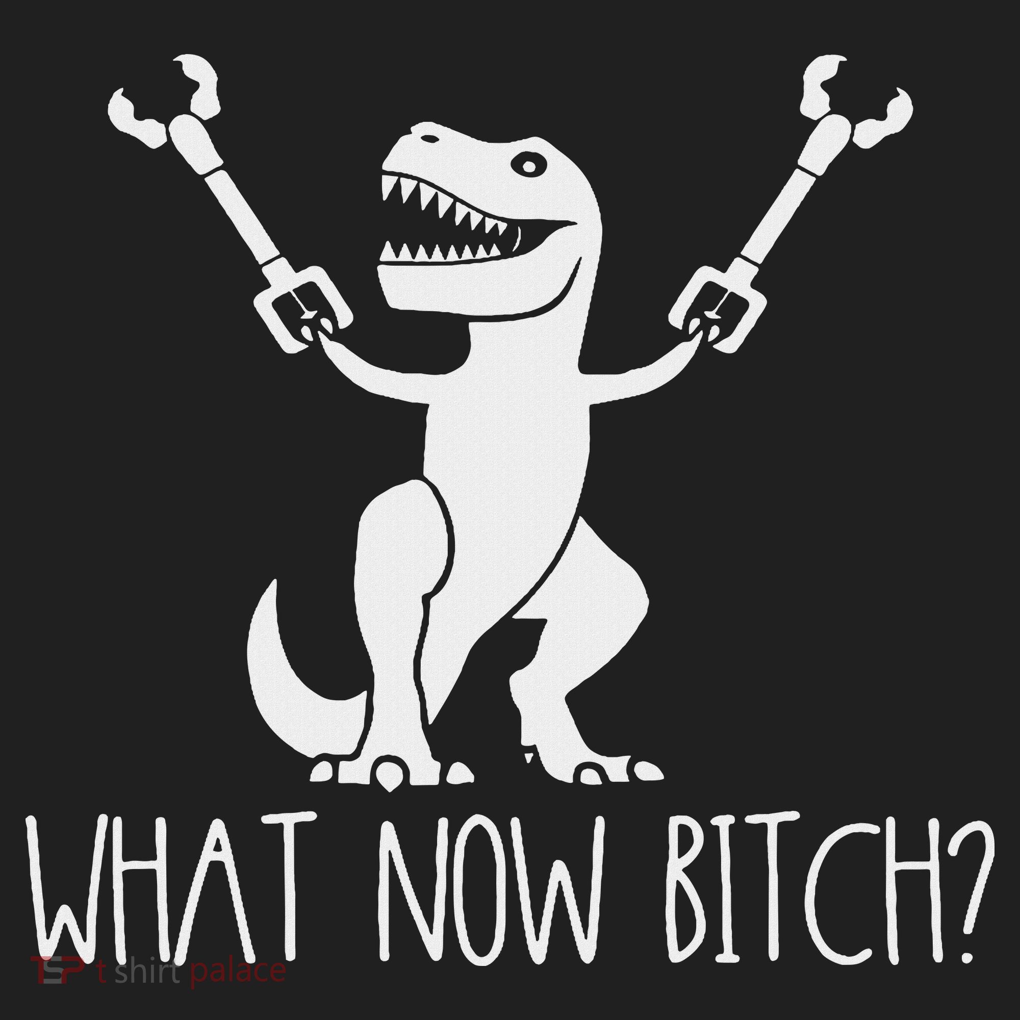 What Now Bitch Funny T Rex Dinosaur Beanie