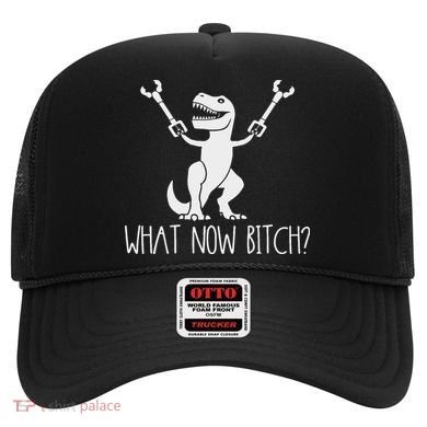 What Now Bitch Funny T Rex Dinosaur Hat