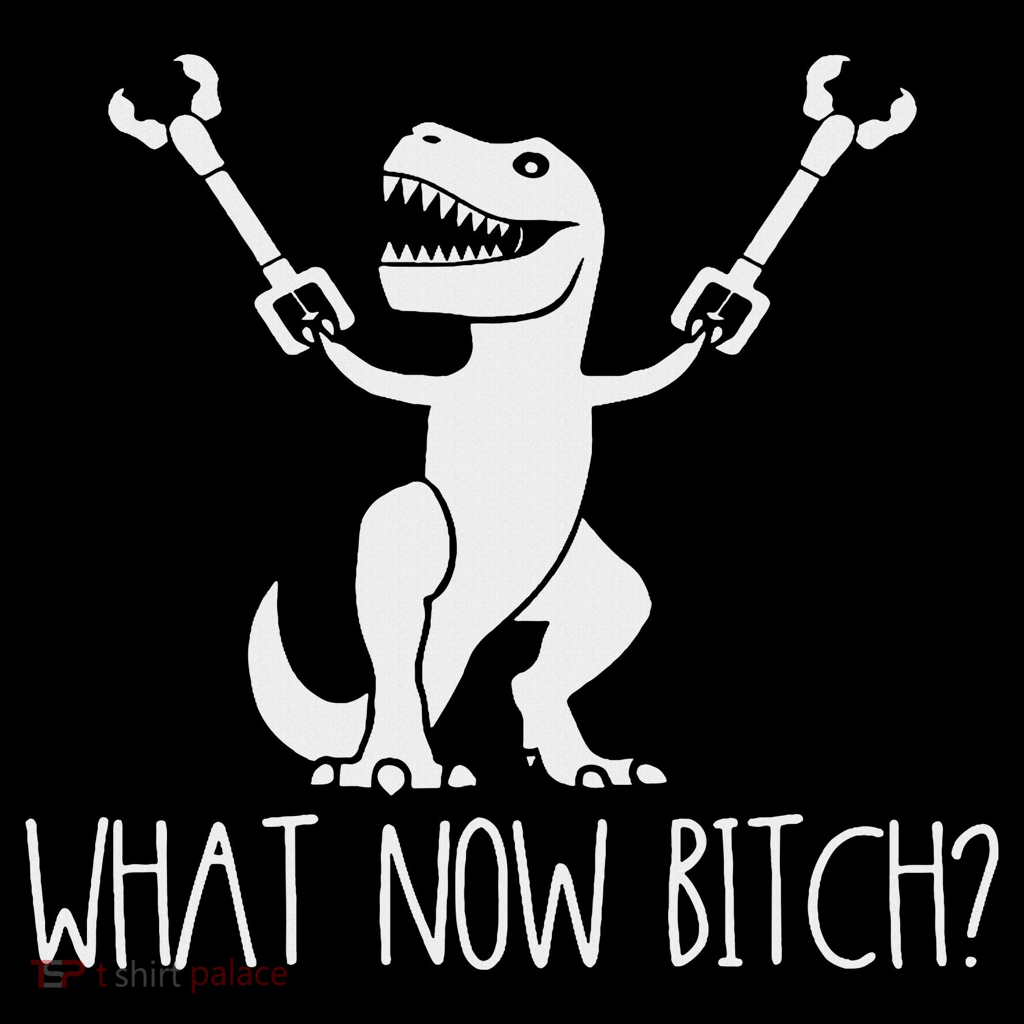 What Now Bitch Funny T Rex Dinosaur Women's Long Sleeve Shirt