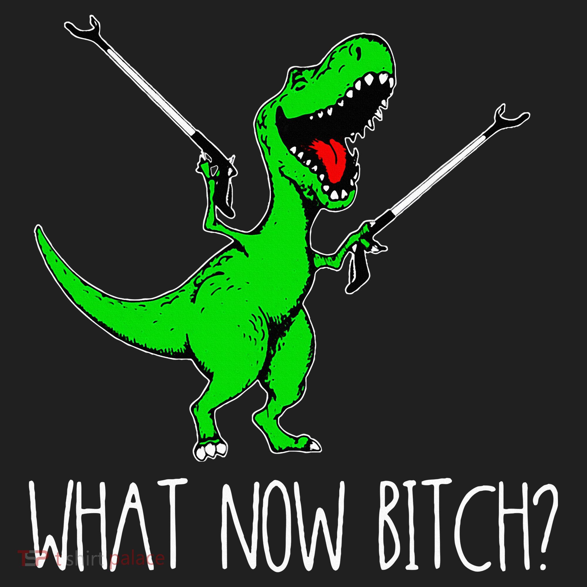 What Now Bitch Funny T Rex Dinosaur Women's Sweatshirt