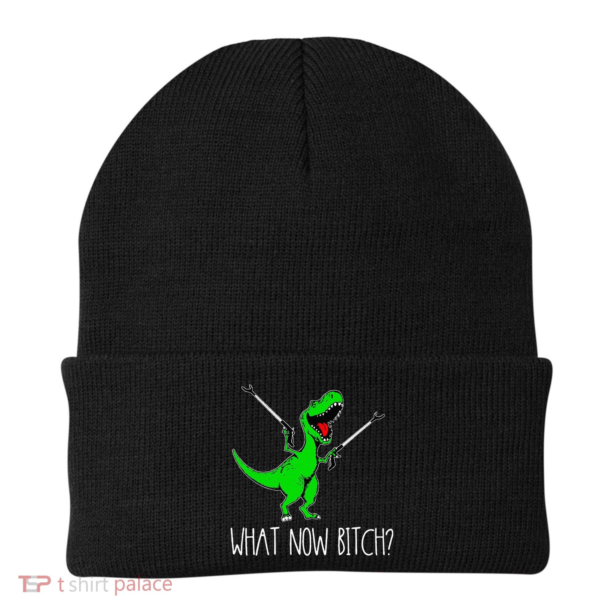 What Now Bitch Funny T Rex Dinosaur Beanie