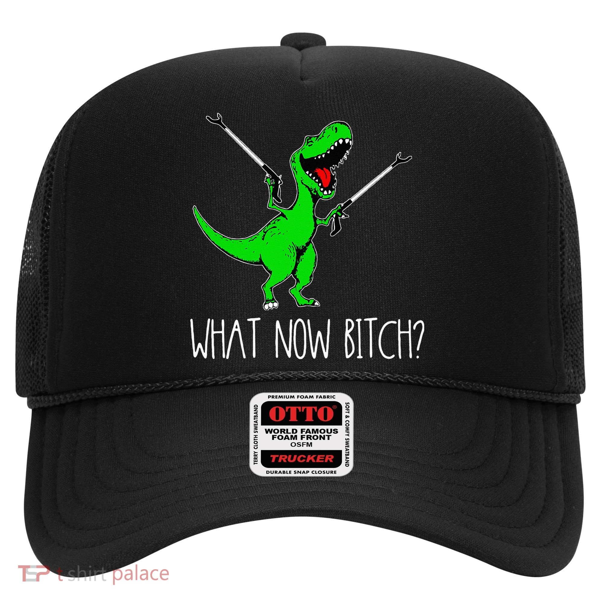 What Now Bitch Funny T Rex Dinosaur Hat