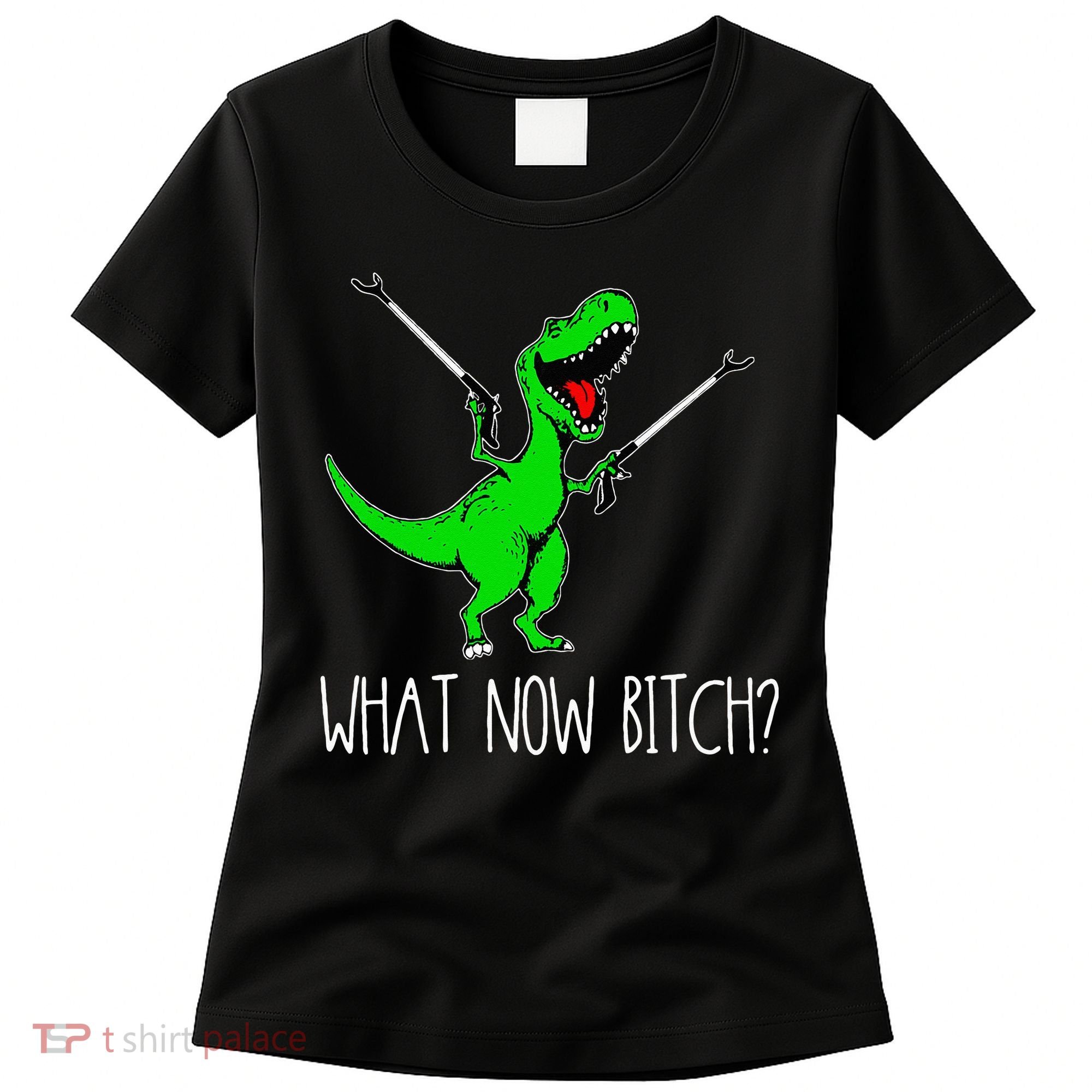 What Now Bitch Funny T Rex Dinosaur Women's T-Shirt