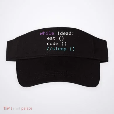 Visor