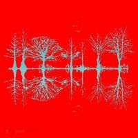 Wildlife Nature Forest Trees Reflection Outdoor Forest Santa Hat thumb 1