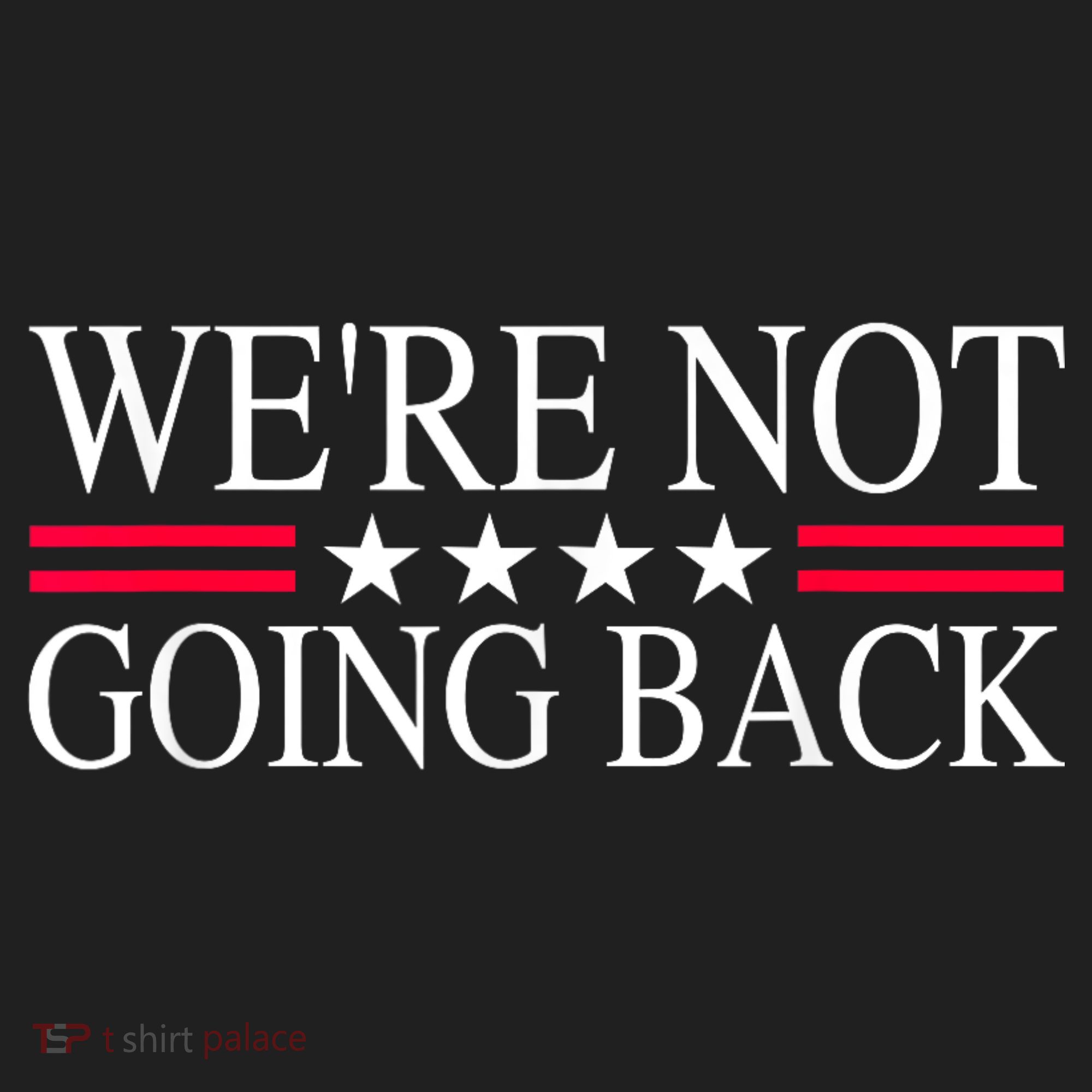 WeRe Not Going Back U.S Flag Beanie