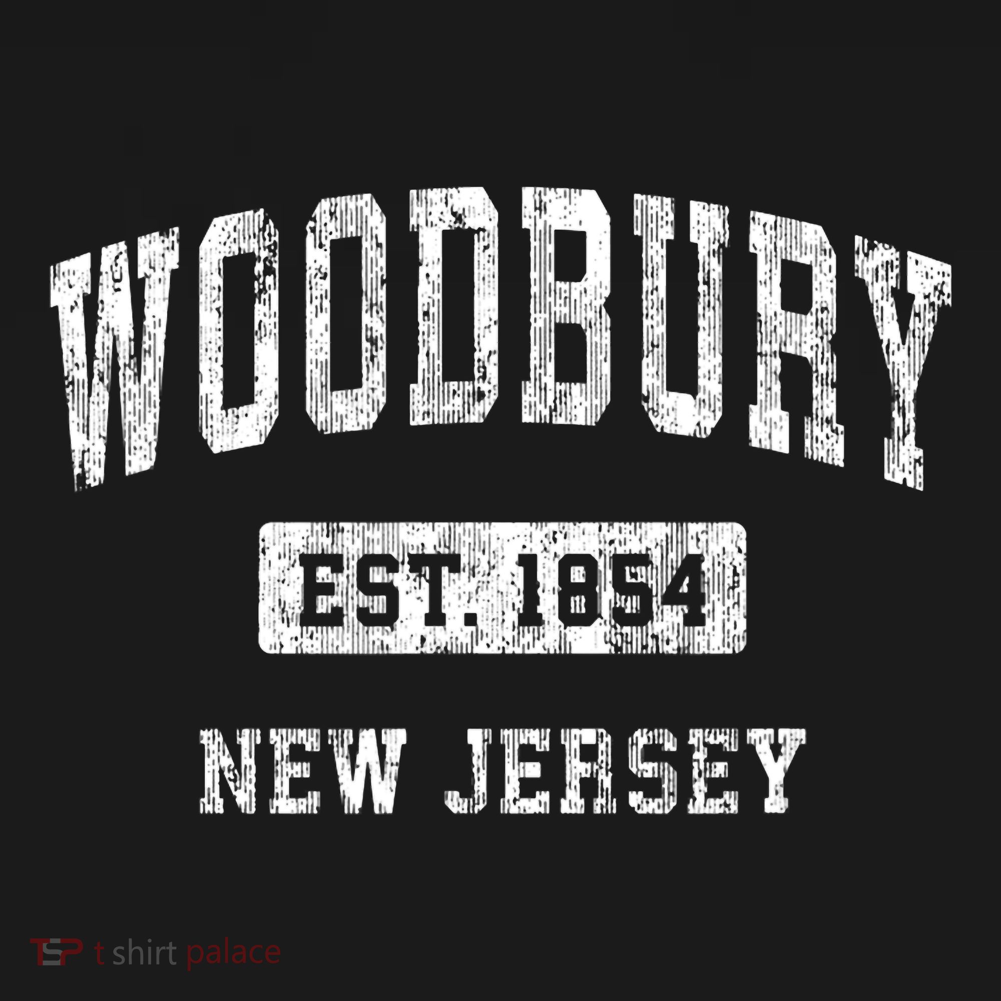 Woodbury New Jersey Nj Vintage Sports Established T-Shirt