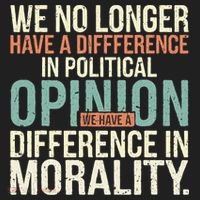 We No Longer Have A Difference In Political Opinion Morality Beanie thumb 2
