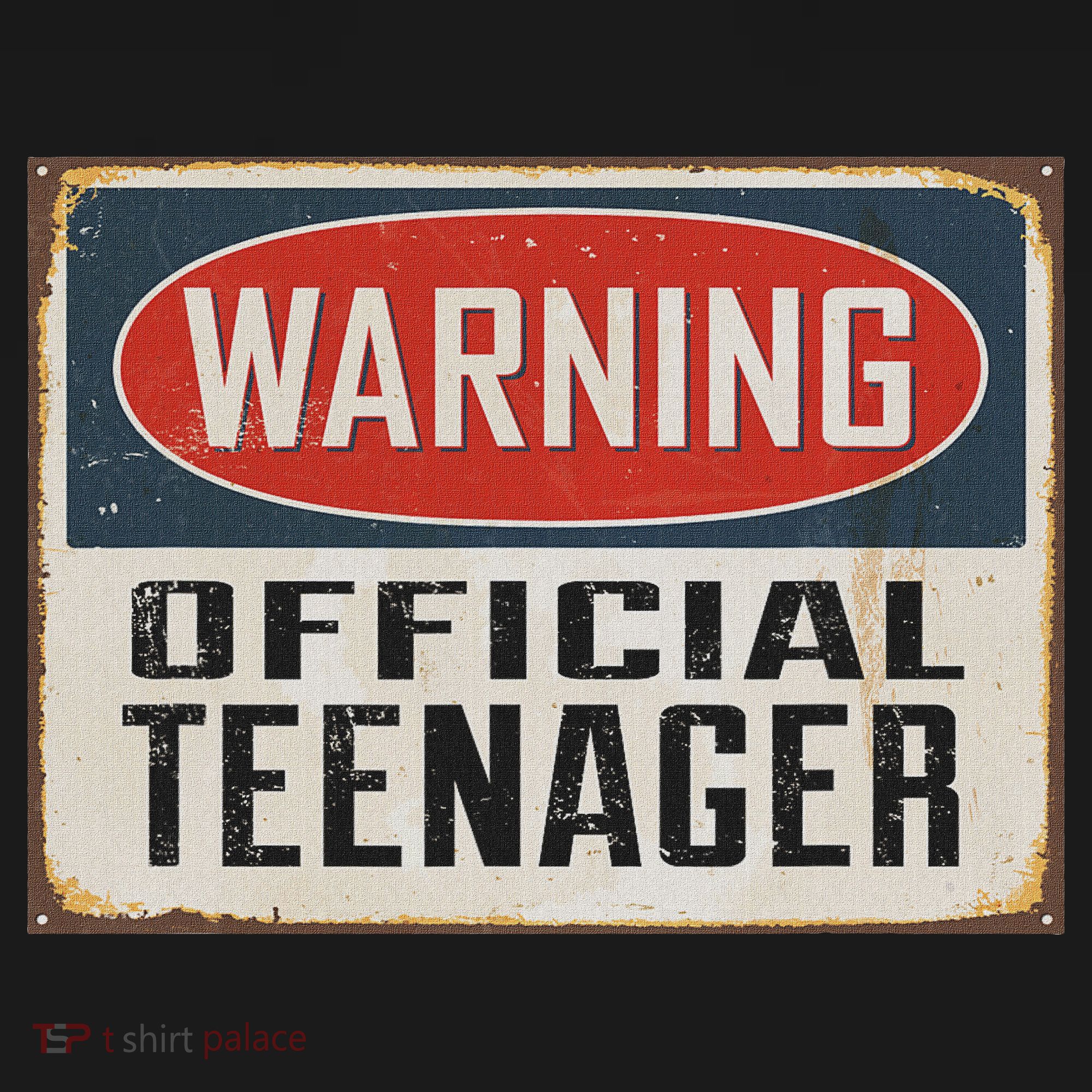 Warning Nager Rustic Vintage 13th Birthday T-Shirt