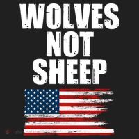 Wolves Not Sheep Distressed American USA Flag Tumbler thumb 3