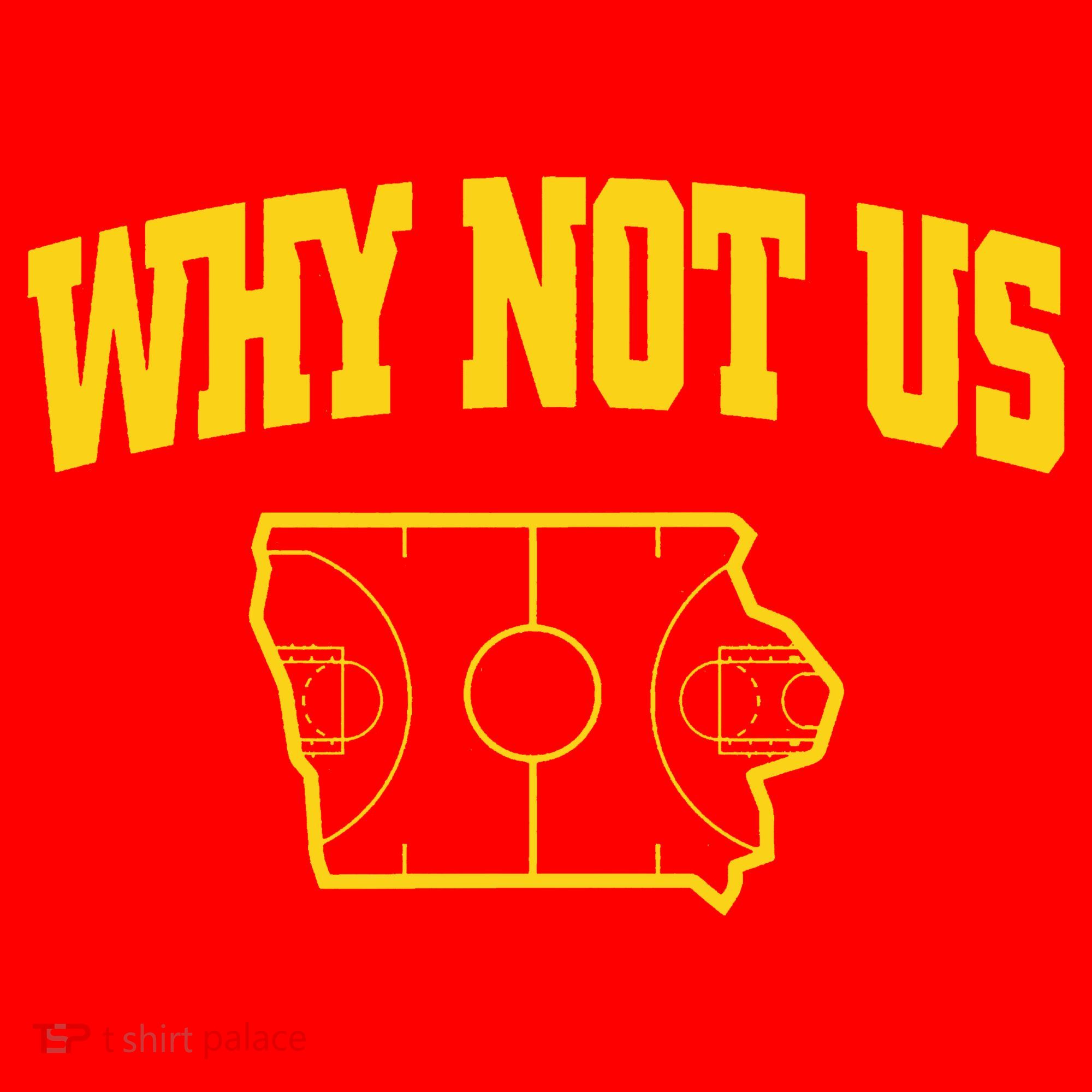 Why Not Us Iowa Santa Hat