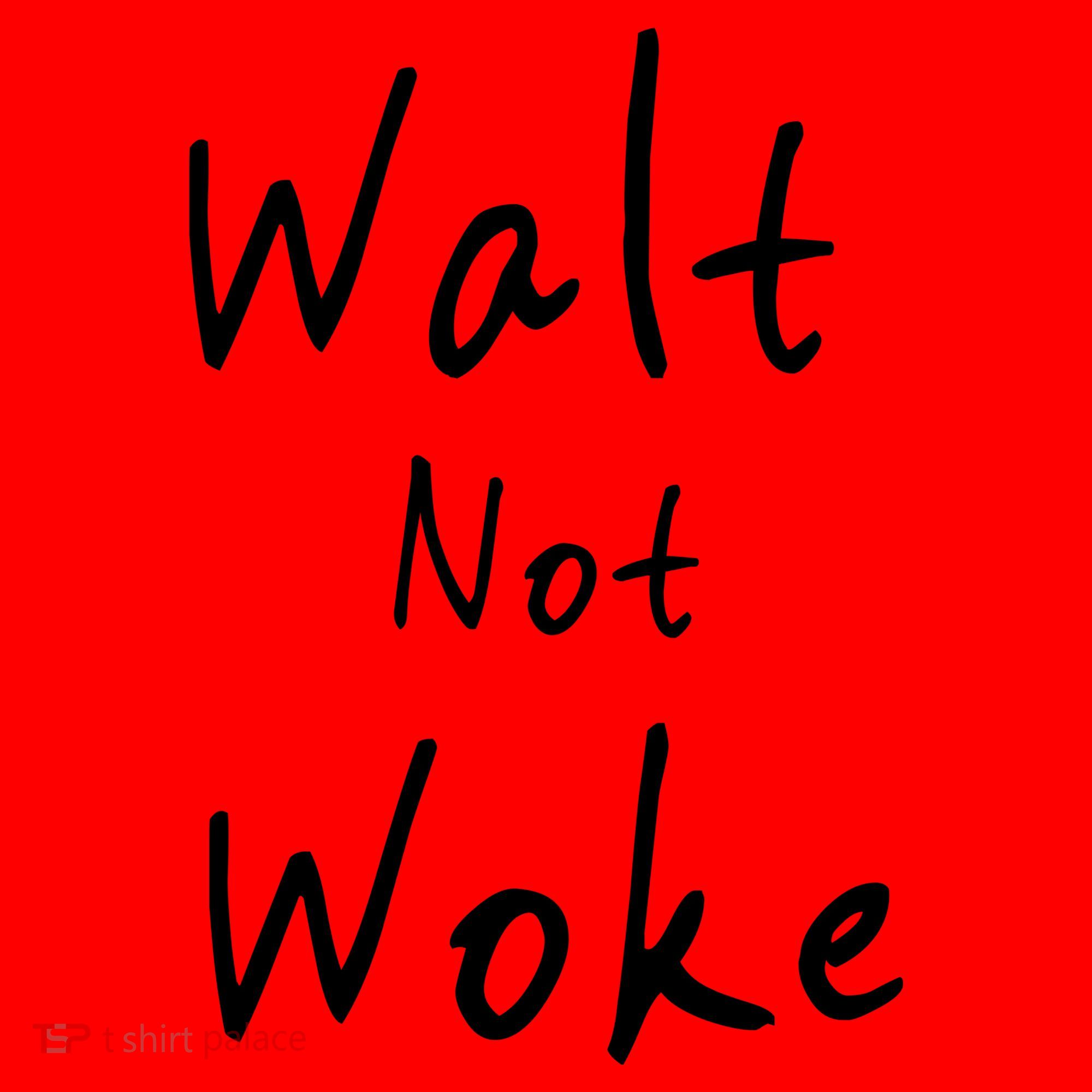 Walt Not Woke Dad Hand Made Santa Hat