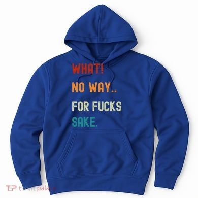 What No Way For Fucks Sake Sarcasm Saying Hoodie