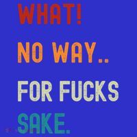 What No Way For Fucks Sake Sarcasm Saying T-Shirt thumb 7