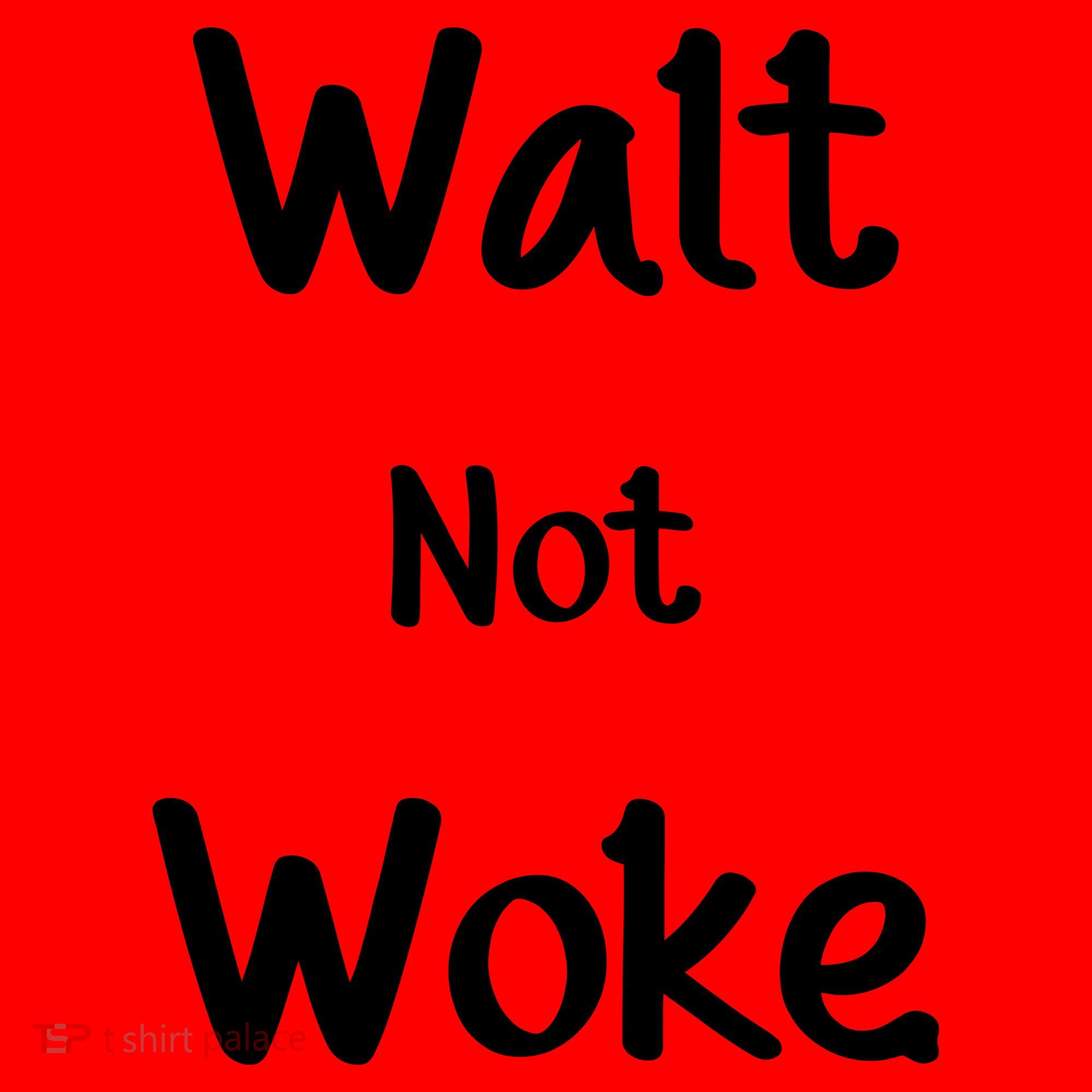 Walt Not Woke Santa Hat