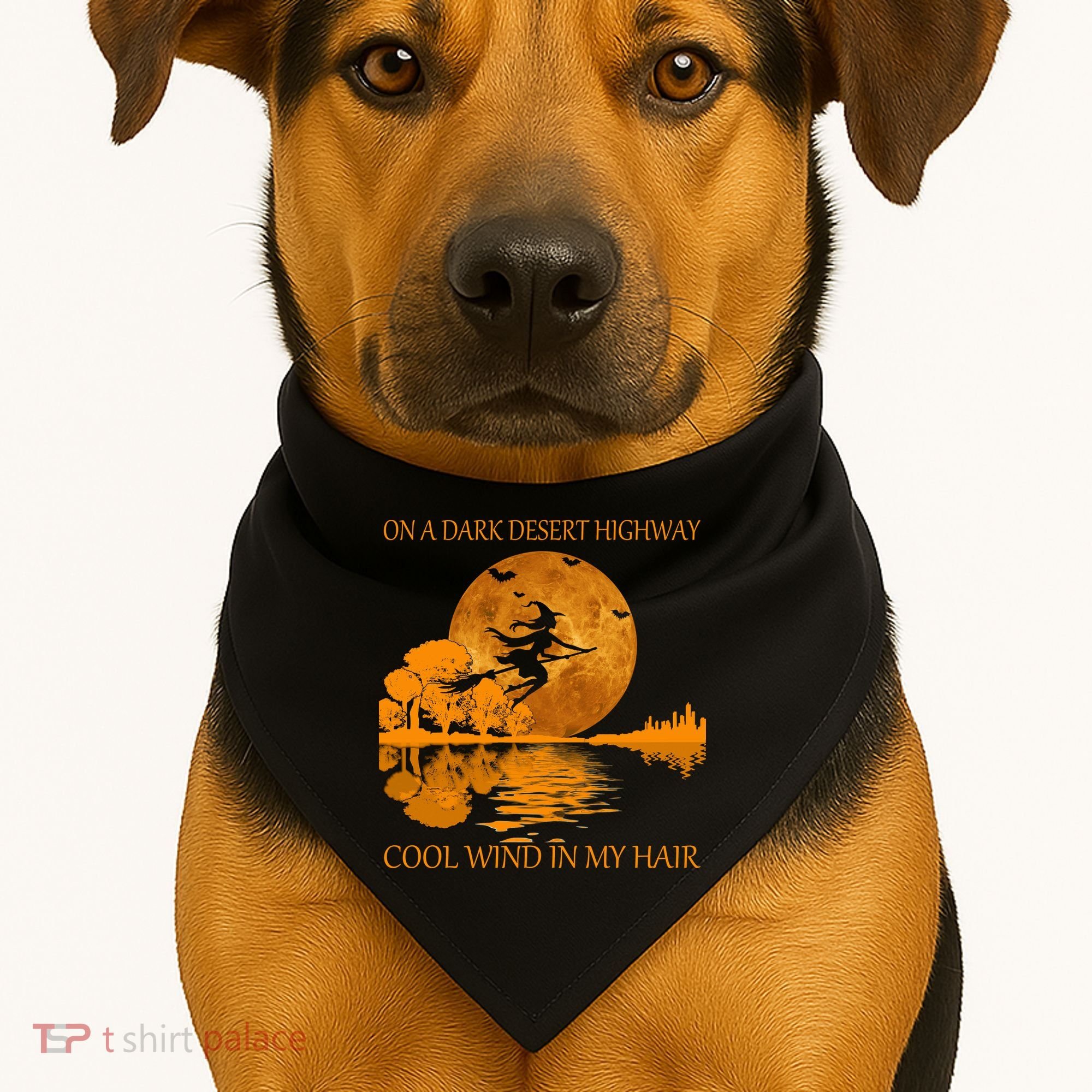 Witch On A Dark Desert Highway Cool Wind In My Hair USA-Made Doggie Bandana