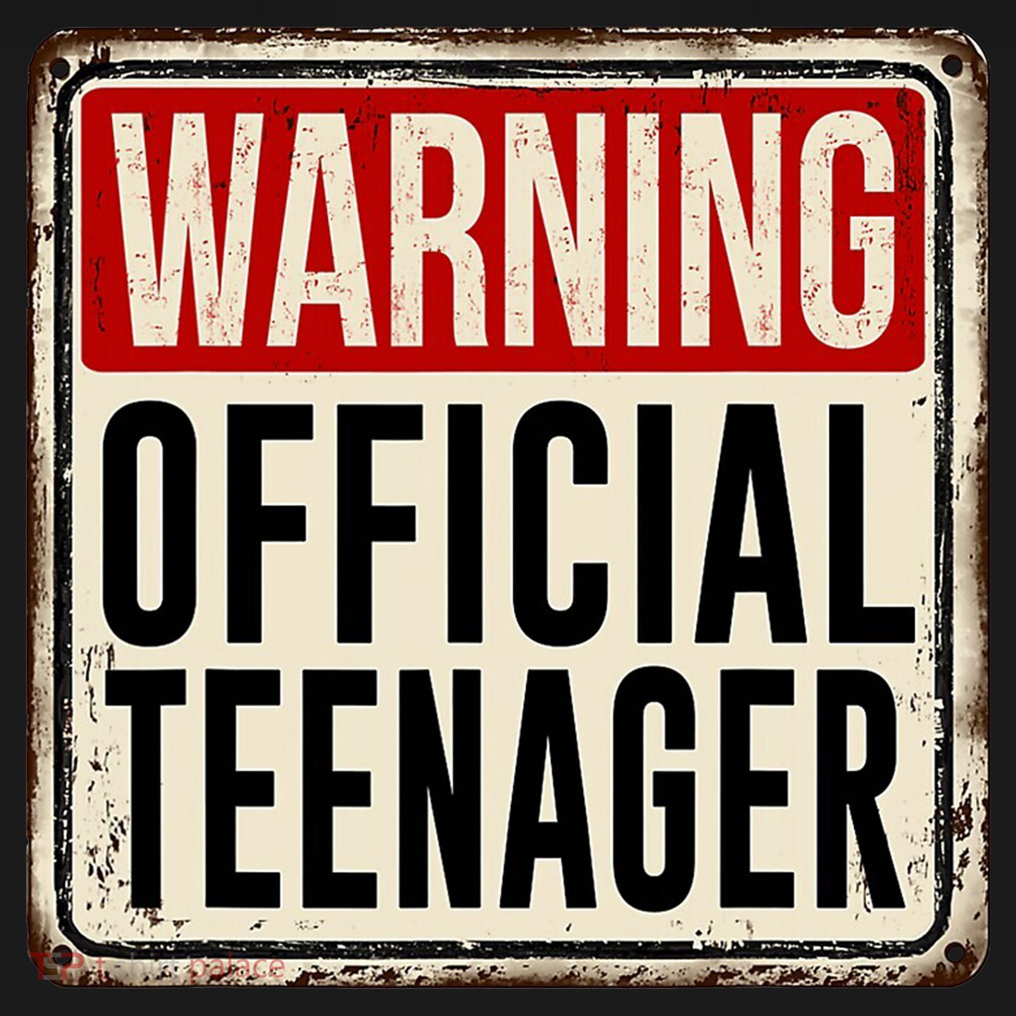 Warning Officially A Teenager Ornament