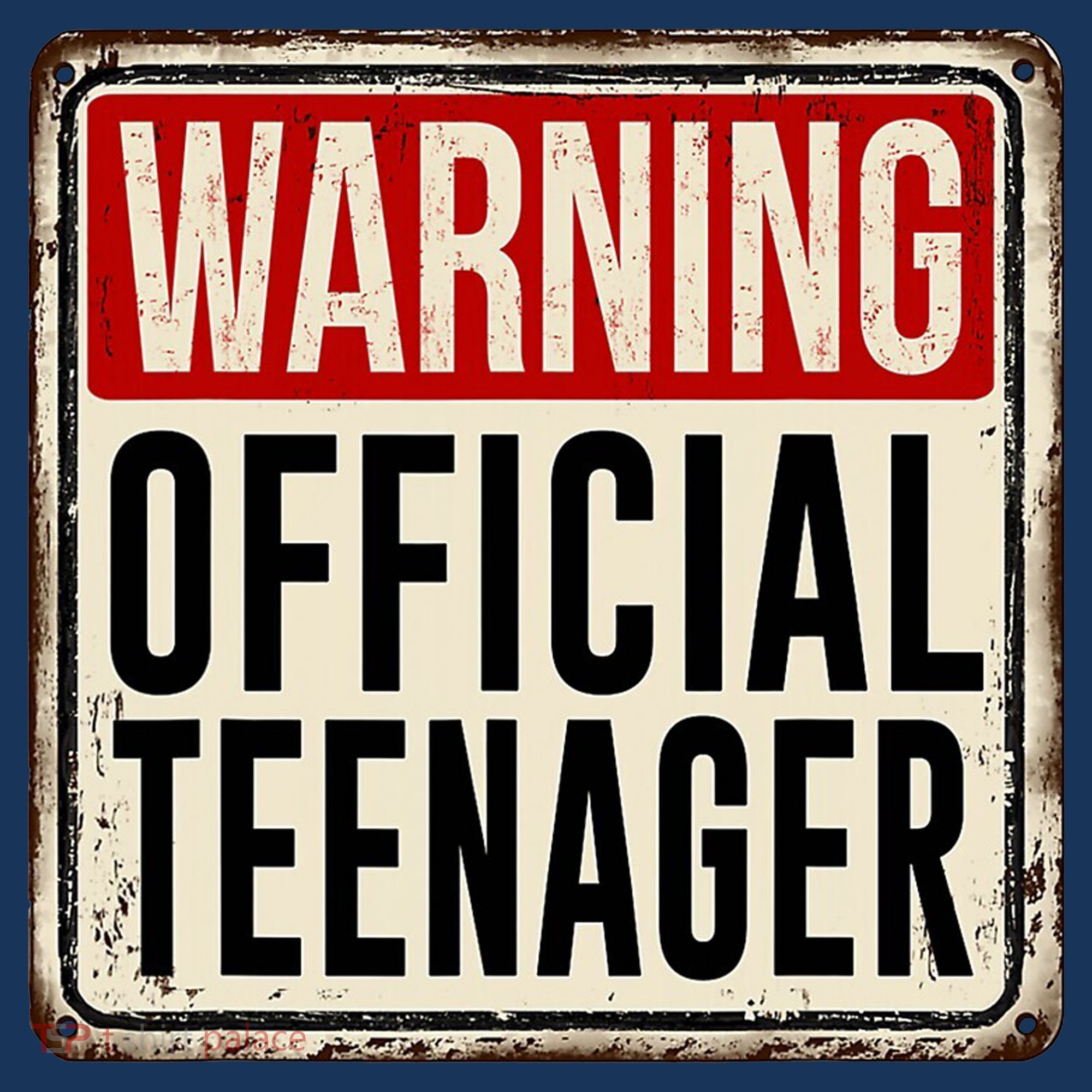 Warning Officially A Teenager Hoodie