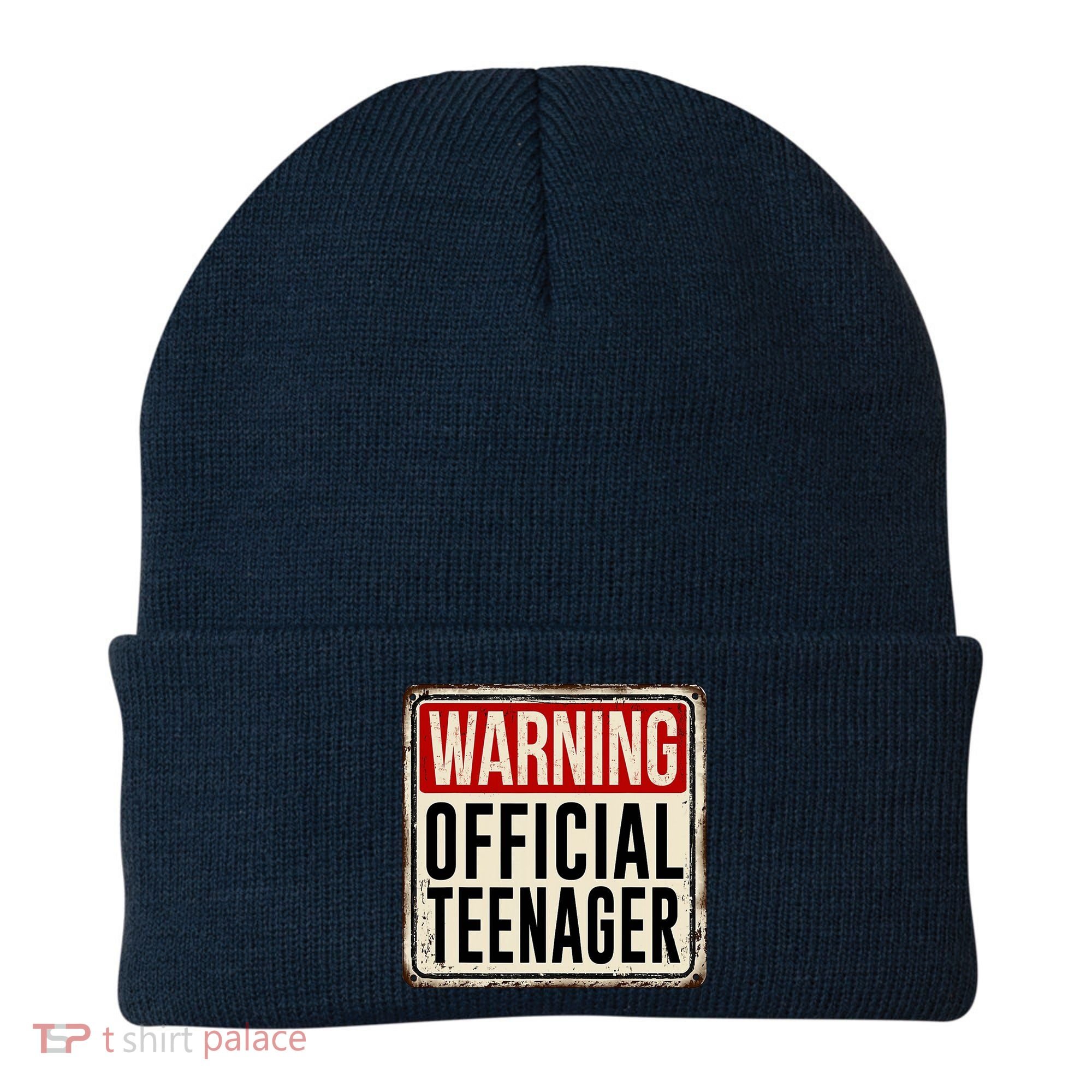 Warning Officially A Teenager Beanie