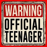 Warning Officially A Teenager Santa Hat thumb 1