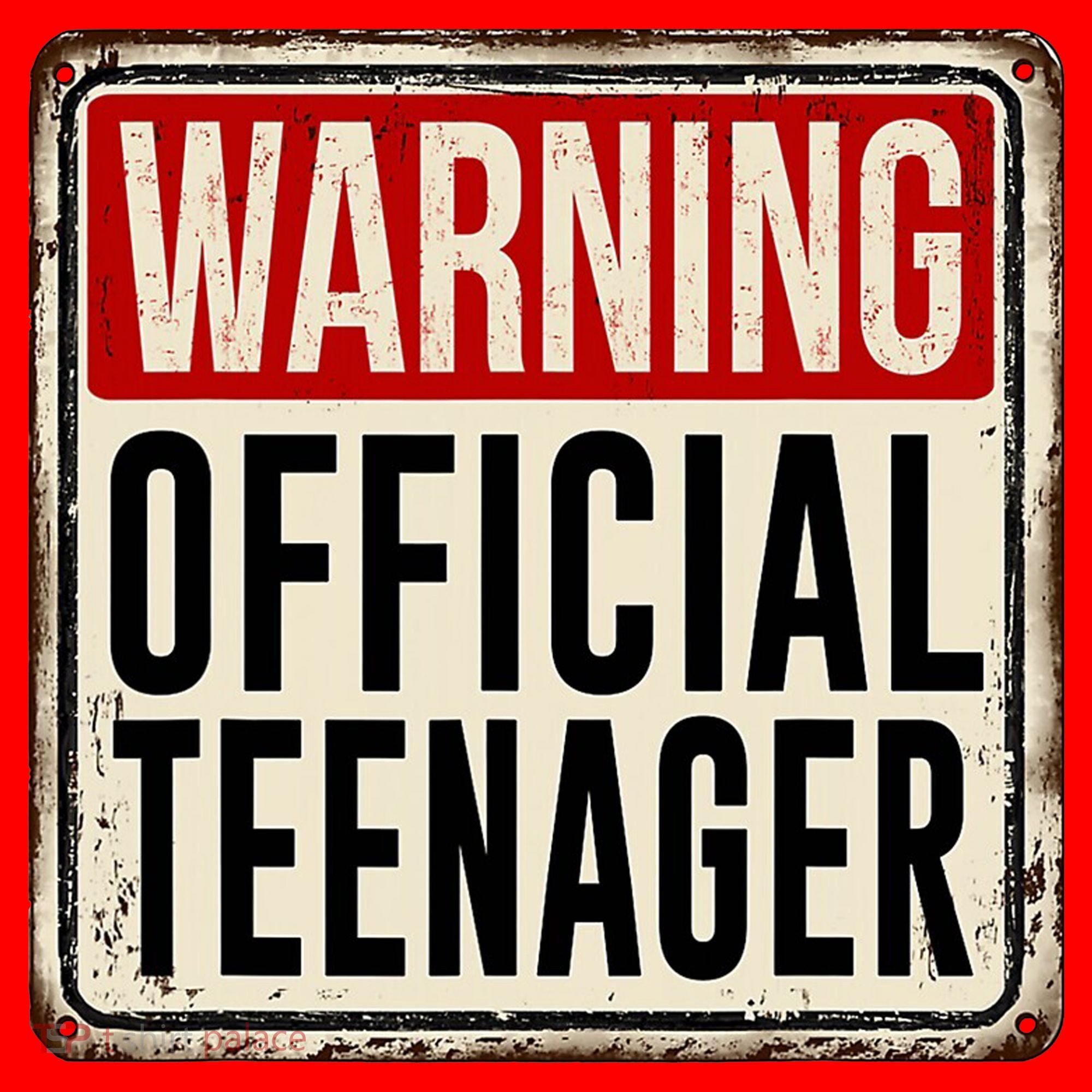 Warning Officially A Teenager Santa Hat