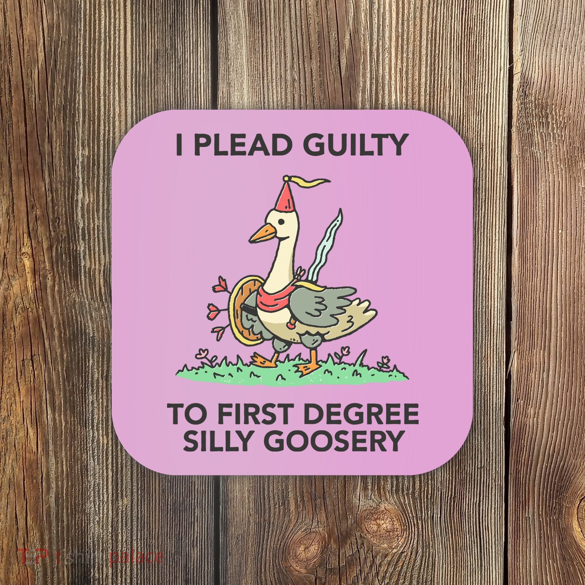 Wizard Of Barge I Plead Guilty To First Degree Silly Goosery Coaster