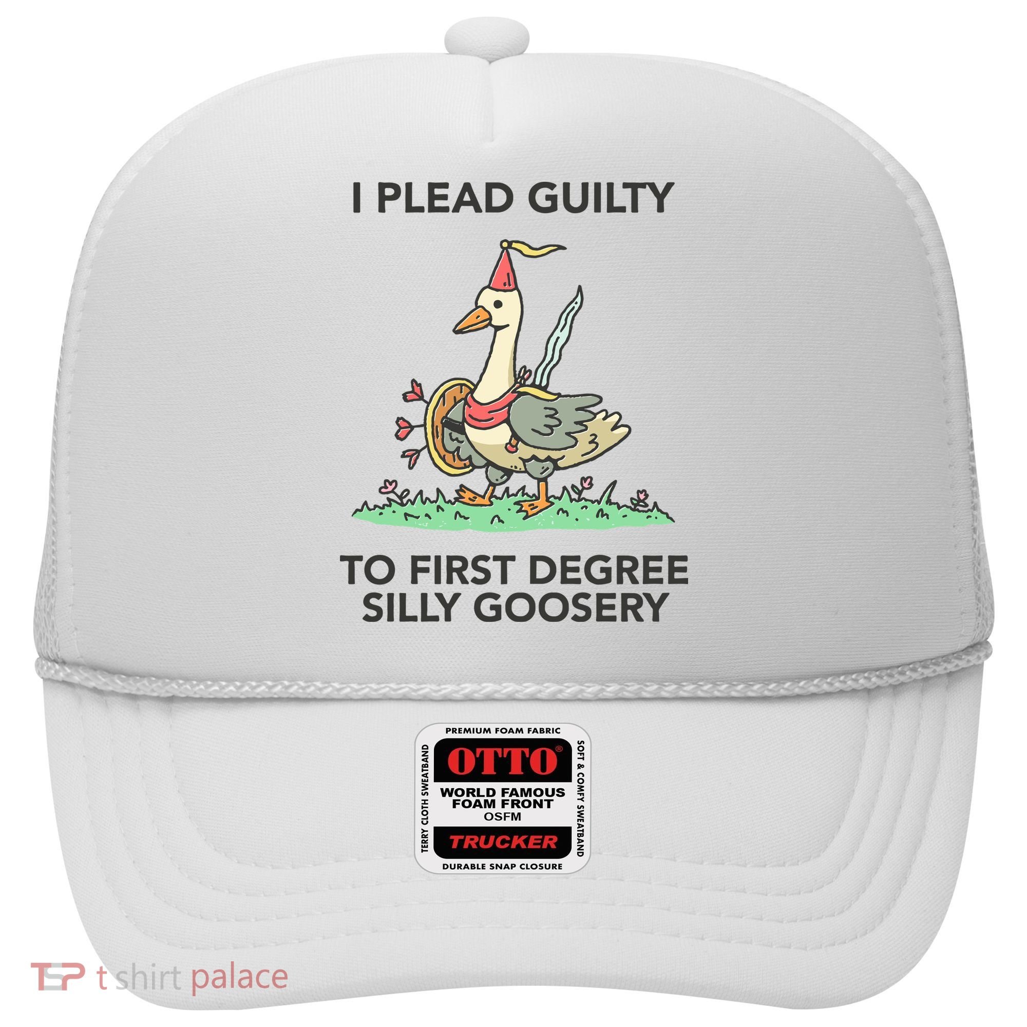 Wizard Of Barge I Plead Guilty To First Degree Silly Goosery Hat