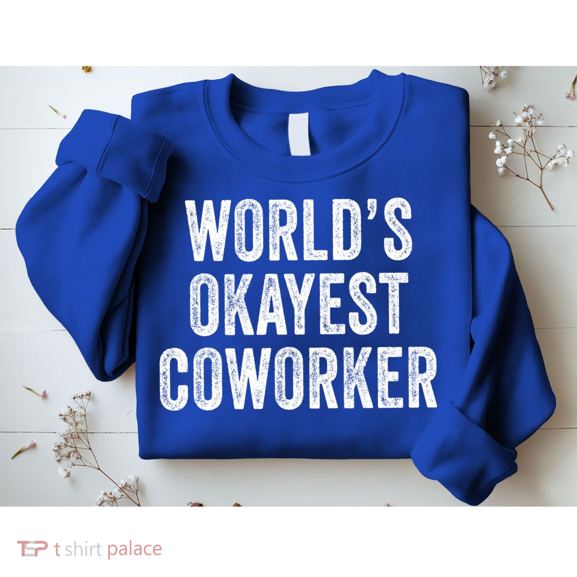 Worlds Okayest Coworker Employee Funny Worker Distressed Cool Gift Sweatshirt