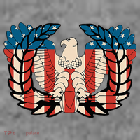 Warrant Officer Corps Eagle Rising Retro Flag Toddler Hoodie thumb 2