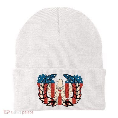 Warrant Officer Corps Eagle Rising Retro Flag Beanie