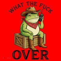 WTF Over Frog Funny Sarcastic Meme Walkie Talkie Santa Hat thumb 1