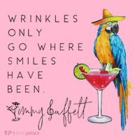 Wrinkles Only Go Where Smiles Have Been Cute Parrot Mexican Coaster thumb 2