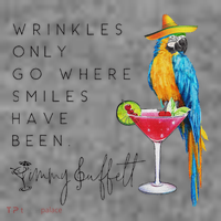 Wrinkles Only Go Where Smiles Have Been Cute Parrot Mexican Toddler Hoodie thumb 2
