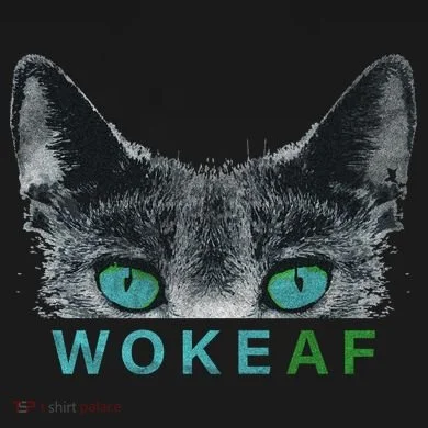 Woke AF Toddler T-Shirt