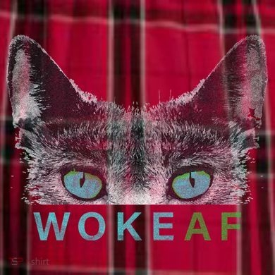 Woke AF Men's Flannel Plaid Pajama Pants