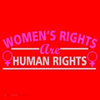 Women's Rights Are Human Rights Santa Hat thumb 1