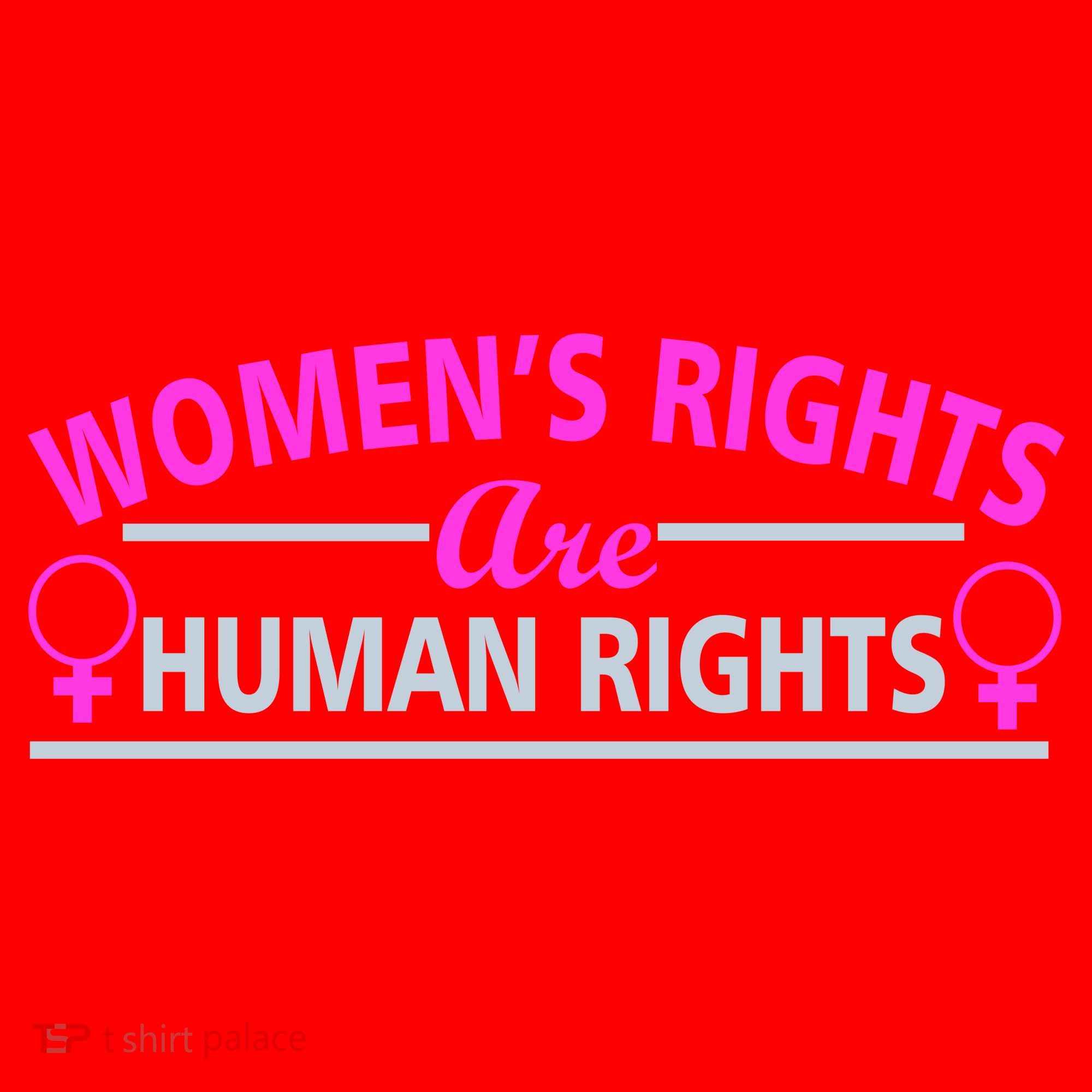 Women's Rights Are Human Rights Santa Hat