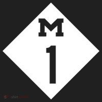 Woodward Ave. M1 Logo Beanie thumb 2