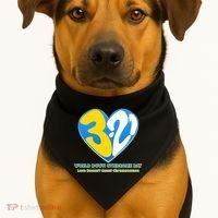 World Down Syndrome Day Love Doesn't Count Chromosomes USA-Made Doggie Bandana thumb 1
