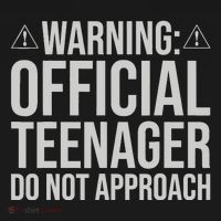Warning Official Teenager 13th Birthday 13 Year Old Boy Girl T-Shirt thumb 7